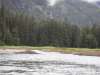 SDC11089_28Large29.JPG