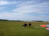 P1010807.JPG